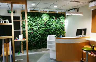 江西南昌綠植墻垂直綠化設(shè)計(jì)與施工