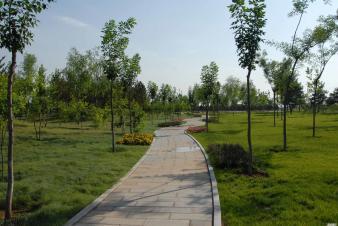 園林景觀設(shè)計(jì)、綠化施工、仿古建筑、涼亭廊架、各種防腐木木制品、